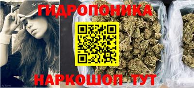 эйфоретик Жуковский