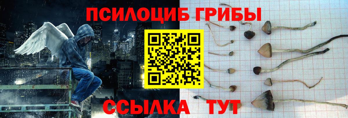 Галлюциногенные грибы мицелий Миасс