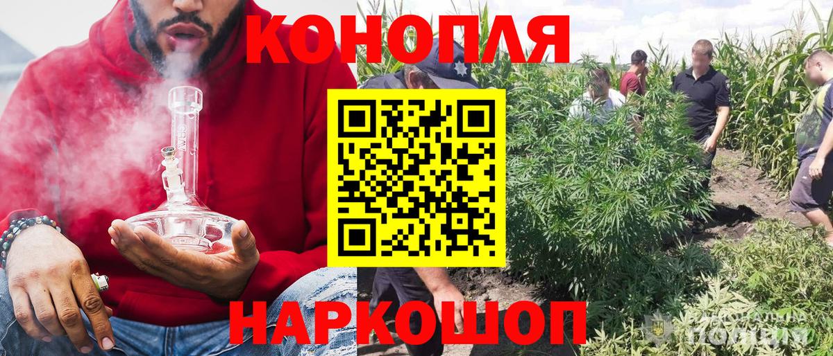Бошки марихуана марихуана  Вход с VPN  Конопля Amnesia  Миасс  МАРИХУАНА индика  Каннабис ГИДРОПОН 